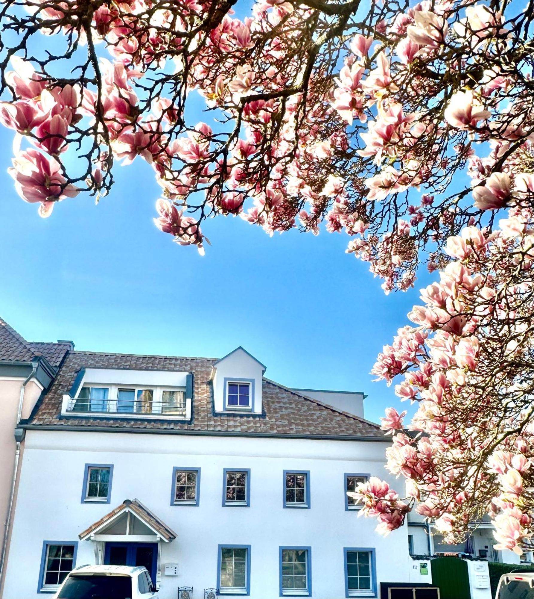 Charmantes Haus Naehe Bonn Koeln Messe Phantasialand Bornheim  Buitenkant foto